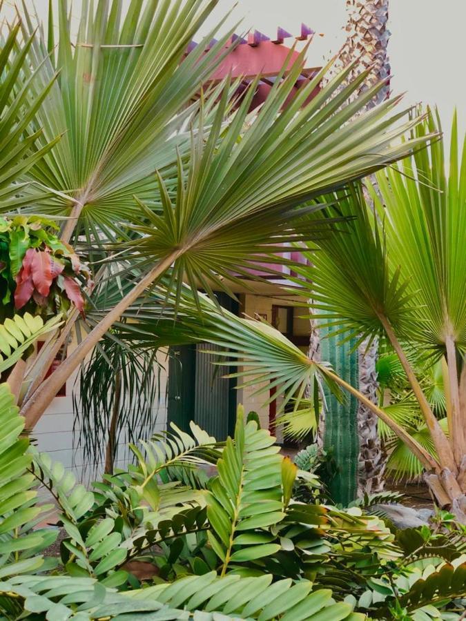 Apart.Relax Costa Del Silencio Ngoại thất bức ảnh